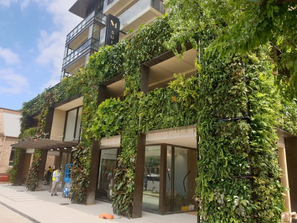 Landscaper Nairne, Green wall Adelaide, green wall south australia