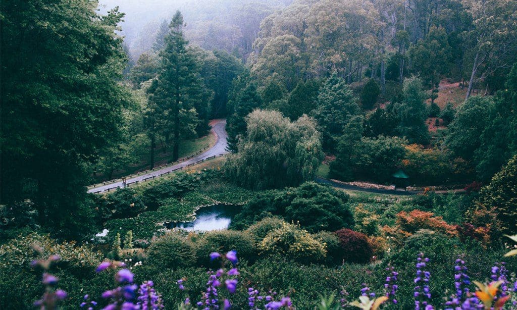 Landscaper in Mount barker, Landscaper in Nairne, Adelaide hills landscaping
